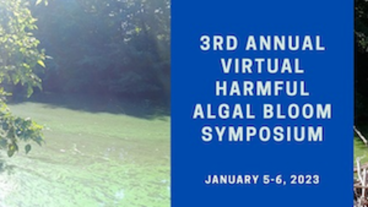 3rd Annual Virtual Harmful Algal Bloom Symposium. A river channel with abundant algal bloom growth and overhanging trees.